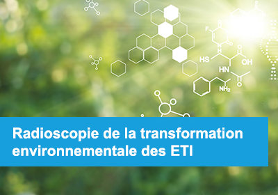 Etude sur la transmission des ETI 