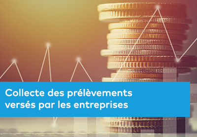 Collecte des prélèvements versés par les entreprises : 